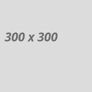 expert3